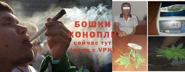 трава Заволжье
